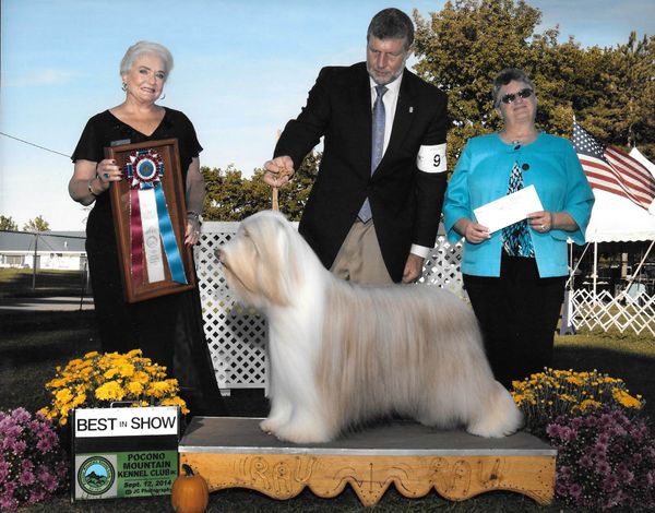 Best In Show 2014