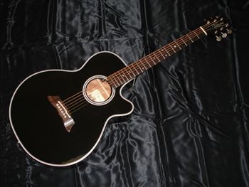 Takamine Acoustic Electric...Dave's pawn shop prize! He has a pair of these, one for dragging into bars and one for picking at home.