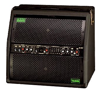 Trace Elliot TA100R acoustic amp. We use this as a monitor, or for small venues as front of house. Unbelievable acoustic amp.