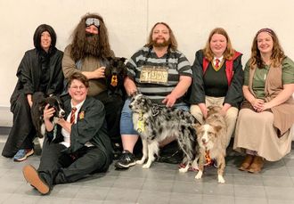 Dogs Overboard ran a new club multi record of 16.334 at The Nut 2019! Line-up: Zoe (Nikki), Severus (Laura), Tor (Tammy), Wicked (Dirk), Boxloader Michaela & Mattress Holder Jordan.