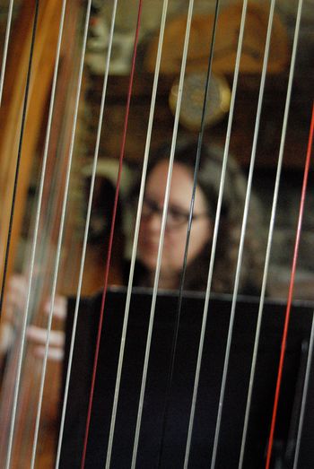 House Concert with harpist extraordinaire Sharlene Wallace at Waterside Arts, Eden Mills. Photo: Elizabeth Cunningham
