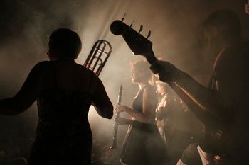 The Discount Orchestra: www.thediscountorchestra.com
