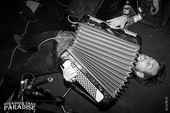 The Discount Orchestra: www.thediscountorchestra.com