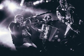 The Discount Orchestra: www.thediscountorchestra.com