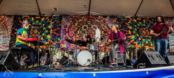 Scott Guberman & Friends - Berkeley Street Festival - Scott Guberman, Alex Koford, Robin Sylvester, Stu Allen