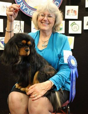 Thank you to Jason Maret for taking this beautiful picture of Yogi following his wins at the 2015 ACKCSC National Specialty and BRCKCSC Regional Specialty in Asheville, NC.