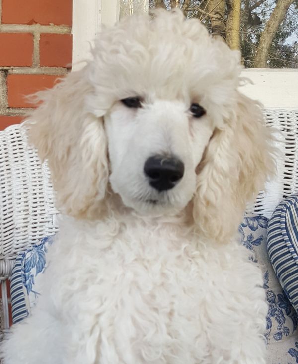Female 12 weeks