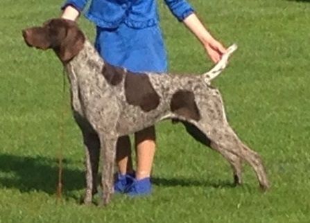 Australian Champion Canawindra Ru Ready