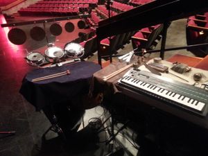 Set-up for performance with Karlovsky and Company Dance at Edison Theater in St. Louis, March 2016