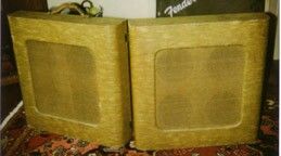 Danelectro Commando Suitcase Amp. Little Walter used to blow out of a suitcase amp in the 1950's. It's questionable as to what brand he used.