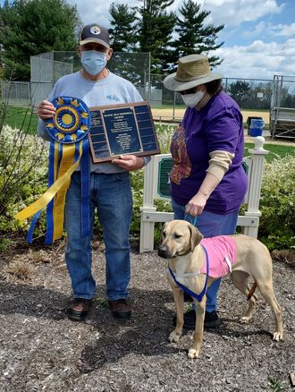 2021 Mystic Isle Trophy Winner: Rhodesian Ridgeback, Emmaretta - Kushinda's Emmaretta, Raise The Jolly Roger Ctf Gh SC, Owned by Dr. Kammi Kai-Hefner