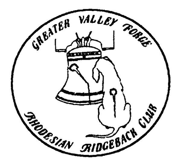 An image of our first club logo, which serviced the club until its first redesign in 2021!