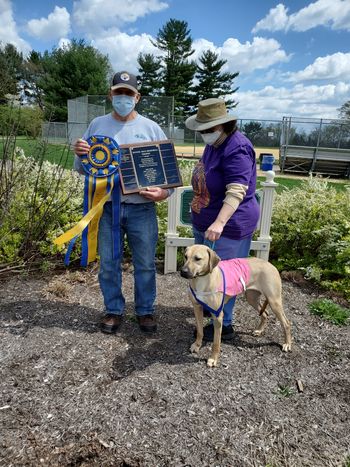 Our 2021 Mystic Isle Trophy Winner is: Rhodesian Ridgeback, Emmaretta - Kushinda's Emmaretta, Raise The Jolly Roger Ctf Gh SC, Owned by Dr. Kammi Kai-Hefner