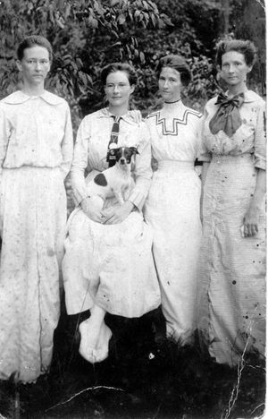 Photo obtained from Joe Warren (now deceased) who was the author of the history book about Longville, Louisiana, He was a friend and acquaintance of Janice Broussard.
This photo is of a Rat Terrier with the hotel staff of "The Southern Hotel" in the early 1900's in Longville, LA. The lady holding the Rat Terrier is Sara (Ware) Barrentine. The book is titled: "A History of The Long-Bell Lumber Co. and "The Family" at Longville, LA 1906-1934" .
These Rat Terriers are still in the town generations later.
Permission to use granted by Janice Broussard.