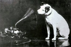 "Nipper"
This is the original photo of Nipper and this is a public domain photo, the photographer died in 1924. Nipper lived from 1884-1895 in England. From Wikipedia - In 1898, three years after Nipper's death, Francis Barraud, his last owner and brother of his first owner, painted a picture of Nipper listening intently to a wind-up Edison-Bell cylinder phonograph.