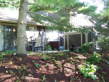 Installation of shade tolerant ground cover, blooming hydrangea and other perennials that can thrive in this environment. Also continued education with customer for the next season to insure a well established landscape. Can't wait to see everything with a couple years of growth!