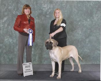 Thank you to Judge Joy Liskau for giving Sapheera her firs GRP placement and yes it was a GRP 1. She even beat her buddy Biggs and over other mature dogs to win this. So proud of Alex my daughter and Soph!