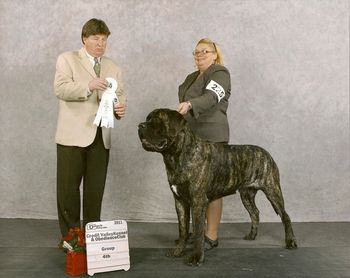 December 9, 10,11 BOB under judges Jack Ireland, Sue Ellyn Rempel and Charles Olvis. Grp. 4 with judge Charles Olvis.