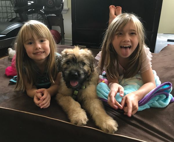 These two beauties have accepted Moose into their family and home in
Washington!! congrats to the O'Dell family