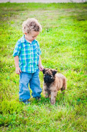 Paddy went to live in Florida with the Hendersons, he is pictured here with my grandson!