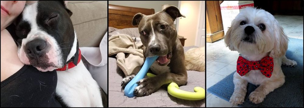 Russell, Penny & Oliver thank you for your generosity!