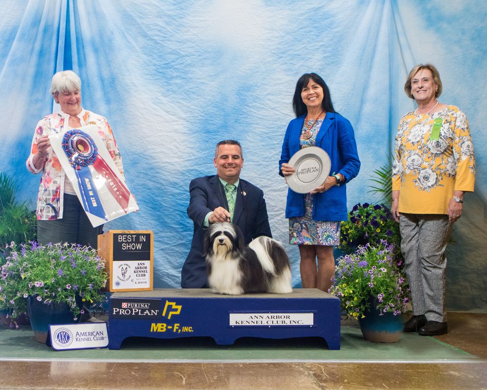 Best in Show July 2018