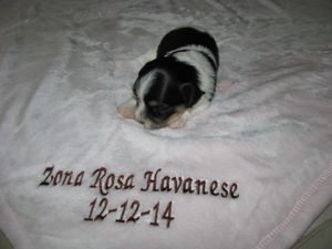 Two weeks old.