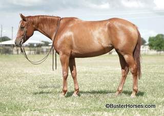 SOLD!!! ~ MyAppointmentsSolid - 2015' sorrel solid APHA mare - $5,000