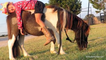 SOLD!!! ~ "Pickle" mini yearling colt - we raised this baby, total pet!!!