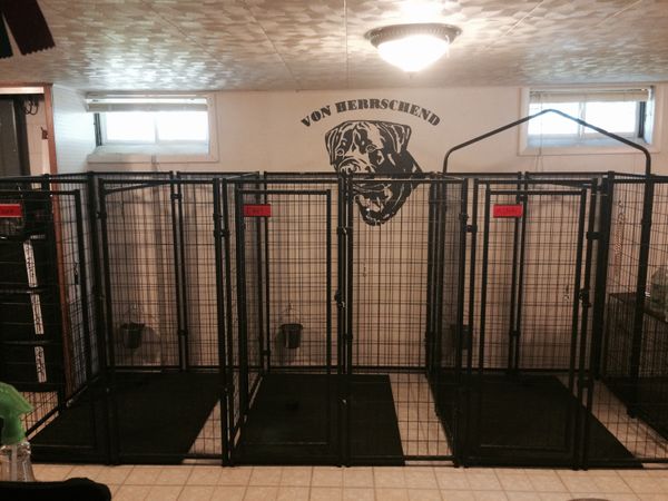 Indoor Kennels for Adults