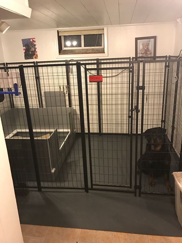 New Flooring