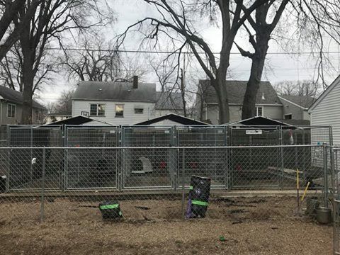 Outdoor Kennels