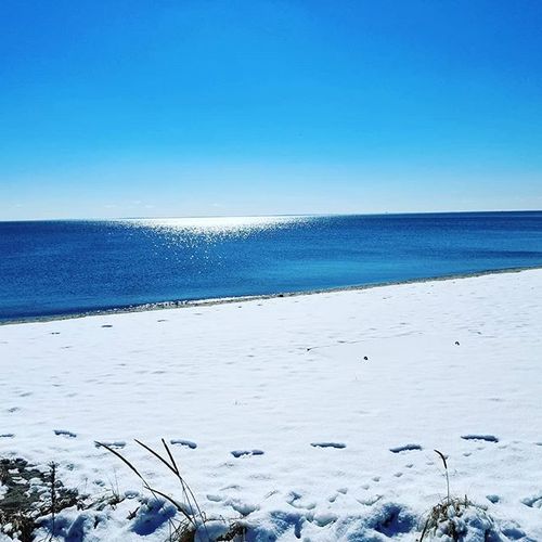My beloved Walnut Beach in the wintertime