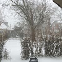 Snow Day