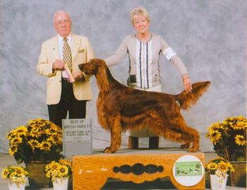 This was the last time I showed Izzie in the Breed. Monica took over and the rest is history...as they say.
