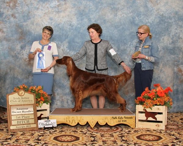Duet now lives with Gwen Newman and her good friend "Sam" in Wisconsin. She growing nicely and has won a Puppy Sporting Group at a large Match. She has been owner handled and is pictured here winning her National Class in Georgia. She finished with Specialty wins and will be Shown in the Breed on a limited basin in the future. She is the 5th from the Premier Litter to finish a Championship.