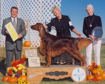 Shown winning a Group III at the New Mexico Sporting Dog Classic. We always seem to do well at those shows.