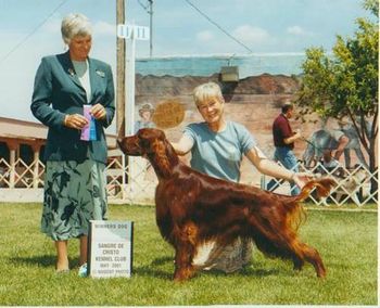 That same New Mexico weekend, Fossie took a major and we were thrilled. This time under Puis Davern.