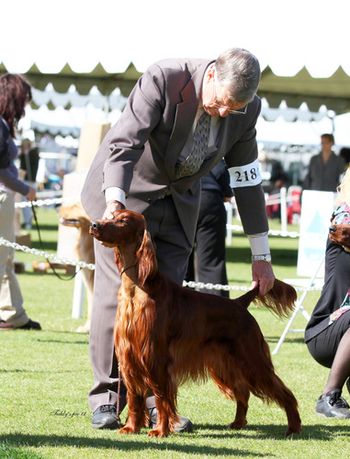 Thanks to Larry Johnson for taking Sarah back in for the Winners class, at the ISC Arizona. That day Margaux took the points.
