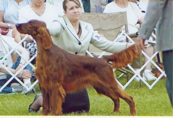 Kristopher was looking so very good at the 2010 National. Thanks to all of you who suggested he should have gone WD.
