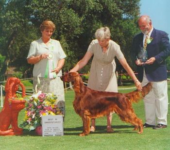 Remy was Best In Sweeps at the San Diego National. She was 14 months old and she also made the first cut in the Breed competition.