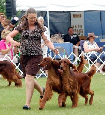 Kristopher and brother Michael shown winning the Brace class at the 2010 National. Good going Dale, owed of both boys.