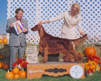 This picture is not the best, but that day was a very special one for me. Izzie not only won the Breed but went on to win the Sporting Dog Group which was a Best In Show. Best of all, I got to see her move so beautifully that it just took my breath away. This was what I had bred for.