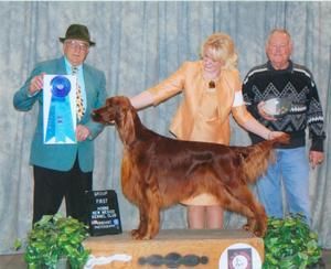 Shown taking a Group I at the Hobbs NM shows. He had a Group II the next day. He's coming along nicely. 2/6/10