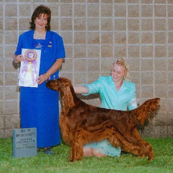 Shown taking her first Specialty Best of Breed under breeder Judge Sheila Smith. This was the first time Monica handled Izzie.