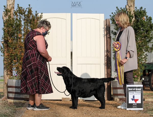 DFWLRC Judge Nancy Arbuckle 2021