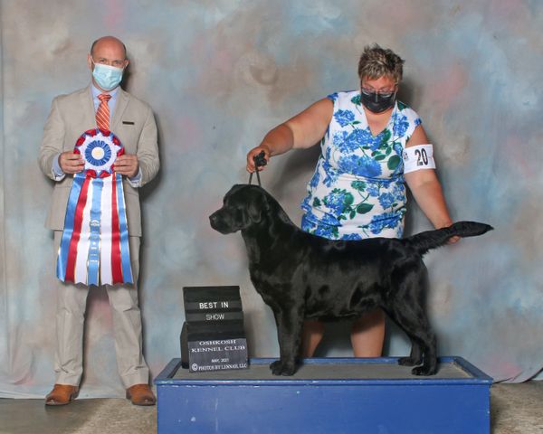 Judge, Jamie Hubbard
Best In Show