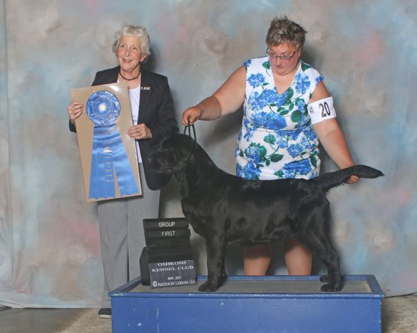 Judge Julie Greendale Paveza
Group 1