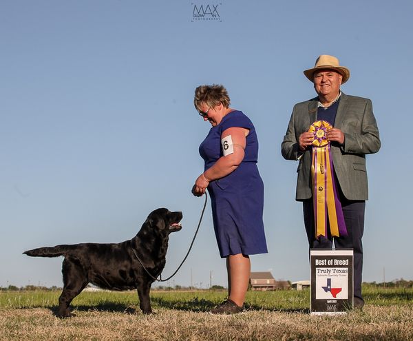 DFWLRC Judge Hector Hector 2021