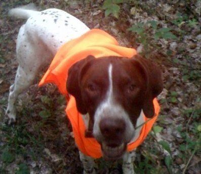 In memory of Hunter. A great boy taken too soon.